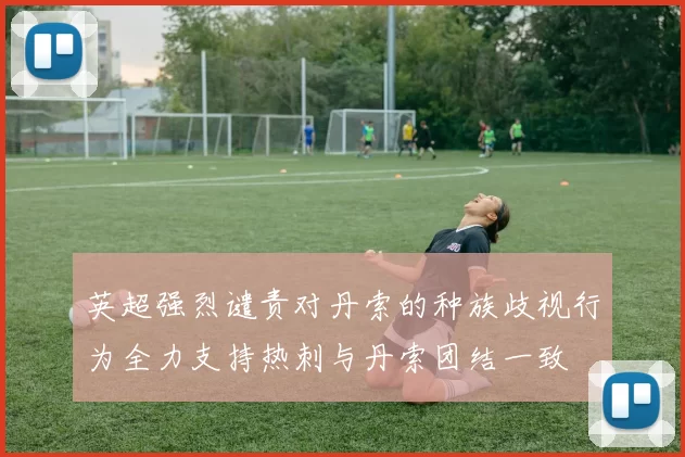 英超强烈谴责对丹索的种族歧视行为全力支持热刺与丹索团结一致